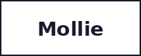 Passerelle de paiement Mollie sécurisée